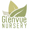 "Glenvue Nursery" with three large green leaves